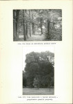 Ewidencja parkowa, skan nr 33