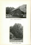 Ewidencja parkowa, skan nr 35