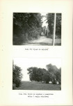 Ewidencja parkowa, skan nr 40