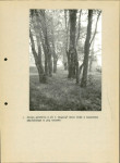 Ewidencja parkowa, skan nr 46