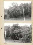 Ewidencja parkowa, skan nr 42