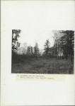 Ewidencja parkowa, skan nr 34