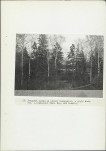 Ewidencja parkowa, skan nr 38