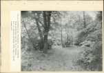 Ewidencja parkowa, skan nr 50