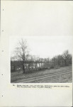 Ewidencja parkowa, skan nr 33