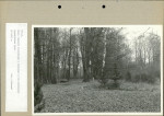 Ewidencja parkowa, skan nr 33