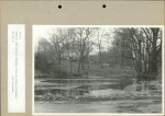 Ewidencja parkowa, skan nr 43