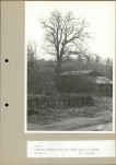 Ewidencja parkowa, skan nr 47