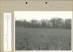 Ewidencja parkowa, skan nr 50