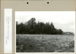 Ewidencja parkowa, skan nr 42