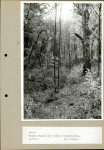 EP - Ewidencja parkowa, skan nr 52