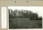 Ewidencja parkowa, skan nr 66