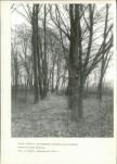 Ewidencja parkowa, skan nr 33