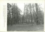 Ewidencja parkowa, skan nr 34