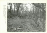 Ewidencja parkowa, skan nr 35