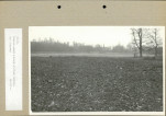 Ewidencja parkowa, skan nr 80