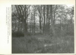 Ewidencja parkowa, skan nr 29