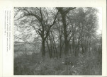 Ewidencja parkowa, skan nr 30