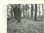 Ewidencja parkowa, skan nr 31