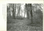 Ewidencja parkowa, skan nr 32