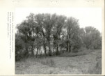 Ewidencja parkowa, skan nr 34