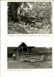 Ewidencja parkowa, skan nr 50