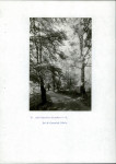 Ewidencja parkowa, skan nr 50
