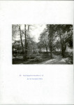 Ewidencja parkowa, skan nr 51
