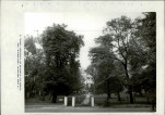 Ewidencja parkowa, skan nr 39