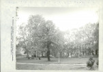 Ewidencja parkowa, skan nr 44