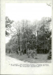 Ewidencja parkowa, skan nr 46