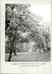 Ewidencja parkowa, skan nr 57