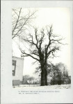 Ewidencja parkowa, skan nr 41