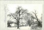Ewidencja parkowa, skan nr 48