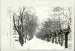 Ewidencja parkowa, skan nr 51
