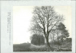 Ewidencja parkowa, skan nr 54