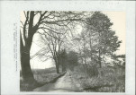 Ewidencja parkowa, skan nr 55