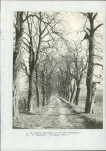 Ewidencja parkowa, skan nr 56
