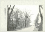 Ewidencja parkowa, skan nr 52