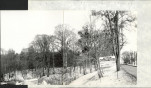 Ewidencja parkowa, skan nr 54