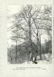 Ewidencja parkowa, skan nr 69