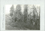 Ewidencja parkowa, skan nr 57