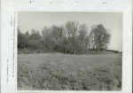 Ewidencja parkowa, skan nr 71