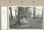Ewidencja parkowa, skan nr 35