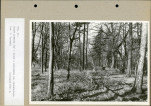 Ewidencja parkowa, skan nr 39