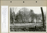 Ewidencja parkowa, skan nr 40