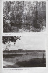 Ewidencja parkowa, skan nr 41
