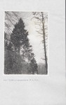 Ewidencja parkowa, skan nr 61