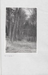 Ewidencja parkowa, skan nr 63