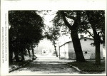 Ewidencja parkowa, skan nr 33